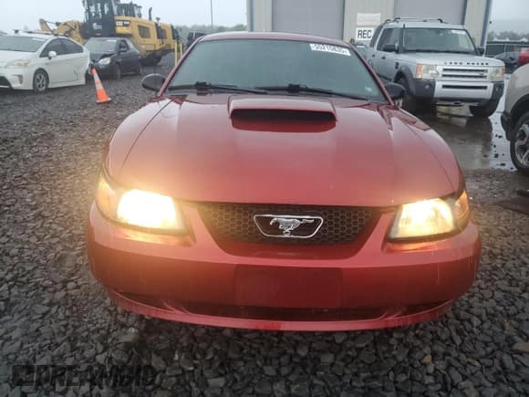 ✅ 2004 Ford Mustang Standard • VIN: 1FAFP40664F231611 • Lot: 55215835. Listed on Copart with 193,630 mi. Free auction sales archive from the USA and detailed vehicle history report at DreamBid. Image 5.