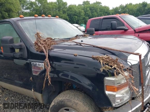 ✅ 2008 Ford F-250 XL • VIN: 1FTSX21R68EA96826 • Лот: 42671161. Опубликован ранее на IAAI с пробегом 213 763 миль. Бесплатный доступ к архиву аукционных продаж из США и подробный отчёт об истории автомобиля на DreamBid. Изображение 13.