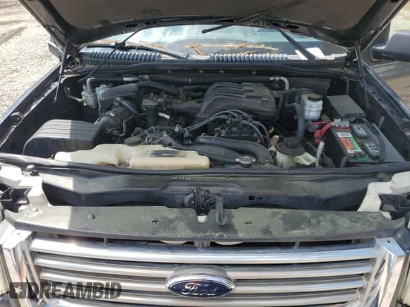 ✅ 2009 Ford Explorer XLT • VIN: 1FMEU73EX9UA44034 • Lot: 52283485. Wystawiony na Copart z przebiegiem 119 538 mil. Bezpłatny archiwum sprzedaży aukcyjnych z USA i szczegółowy raport historii pojazdu na DreamBid. Zdjęcie 12.