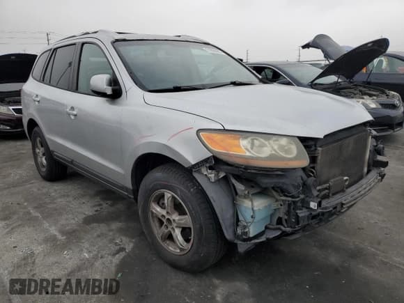 ✅ 2007 Hyundai Santa Fe GLS • VIN: 5NMSG13D77H091190 • Lot: 91096695. Listed on Copart with 204,104 mi. Free auction sales archive from the USA and detailed vehicle history report at DreamBid. Image 4.