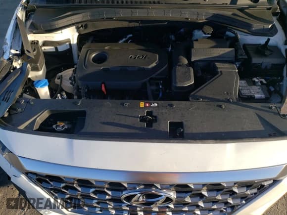 ✅ 2020 Hyundai Santa Fe SEL • VIN: 5NMS3CAD2LH286585 • Lot: 40180434. Wystawiony na Copart z przebiegiem 35 180 mil. Bezpłatny archiwum sprzedaży aukcyjnych z USA i szczegółowy raport historii pojazdu na DreamBid. Zdjęcie 12.