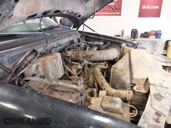 ✅ 1998 Ford F-150 XL • VIN: 1FTRX08L6WKA88552 • Lot: 41549860. Listed on IAAI with 141,247 mi. Free auction sales archive from the USA and detailed vehicle history report at DreamBid. Image 16.