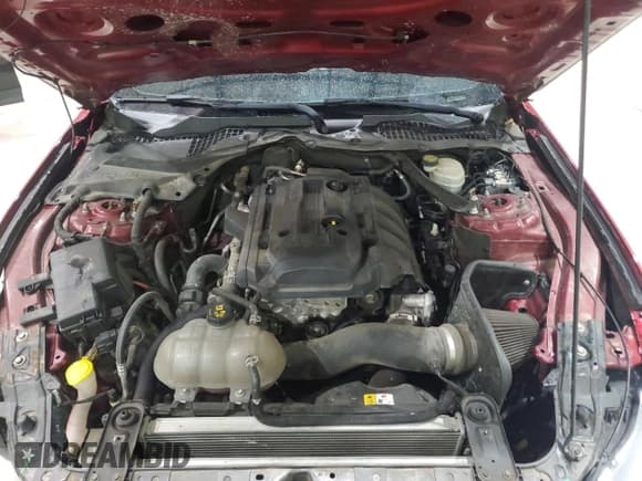 ✅ 2016 Ford Mustang EcoBoost • VIN: 1FA6P8TH4G5288954 • Lot: 84958215. Listed on Copart with 113,230 mi. Free auction sales archive from the USA and detailed vehicle history report at DreamBid. Image 11.