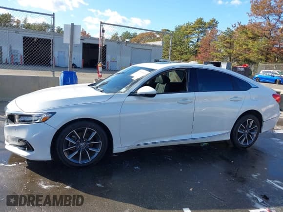 ✅ 2021 Honda Accord EX-L • VIN: 1HGCV1F58MA096128 • Lot: 43490162. Wystawiony na IAAI z przebiegiem 20 981 mil. Bezpłatny archiwum sprzedaży aukcyjnych z USA i szczegółowy raport historii pojazdu na DreamBid. Zdjęcie 14.