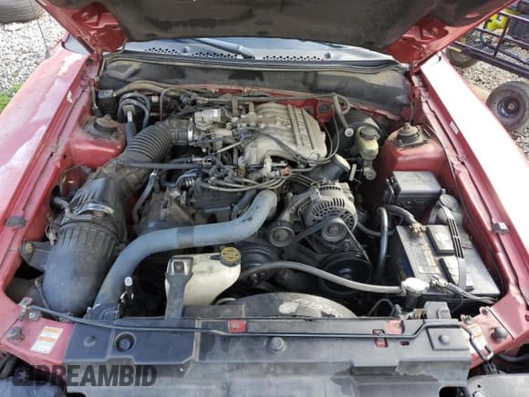 ✅ 1998 Ford Mustang • VIN: 1FAFP4044WF158613 • Лот: 62660405. Опубликован ранее на Copart с пробегом 117 075 миль. Бесплатный доступ к архиву аукционных продаж из США и подробный отчёт об истории автомобиля на DreamBid. Изображение 11.