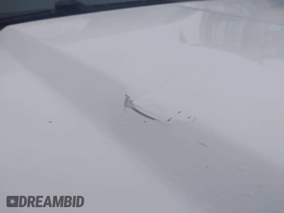 ✅ 2015 GMC Sierra 1500 • VIN: 1GTN1TEC9FZ904800 • Лот: 43502190. Опубликован ранее на IAAI с пробегом 218 605 миль. Бесплатный доступ к архиву аукционных продаж из США и подробный отчёт об истории автомобиля на DreamBid. Изображение 17.