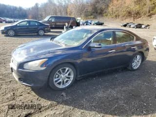✅ 2010 Nissan Maxima SV • VIN: 1N4AA5AP5AC844860 • Лот: 91362925. Опубликован ранее на Copart с пробегом 152 802 миль. Бесплатный доступ к архиву аукционных продаж из США и подробный отчёт об истории автомобиля на DreamBid. Изображение 1.