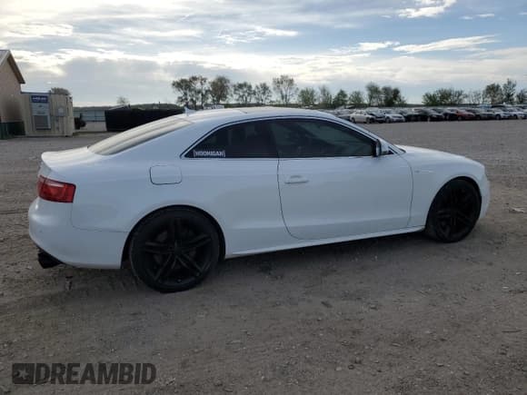 ✅ 2008 Audi S5 • VIN: WAURV78T28A009883 • Лот: 54946425. Опубликован ранее на Copart с пробегом 173 738 миль. Бесплатный доступ к архиву аукционных продаж из США и подробный отчёт об истории автомобиля на DreamBid. Изображение 3.