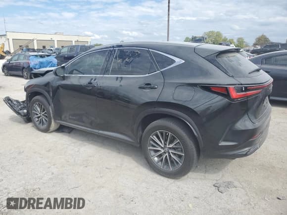 ✅ 2023 Lexus NX 250 Premium • VIN: 2T2GDCEZ3PC003028 • Лот: 72973884. Опубликован ранее на Copart с пробегом Не указан. Бесплатный доступ к архиву аукционных продаж из США и подробный отчёт об истории автомобиля на DreamBid. Изображение 2.