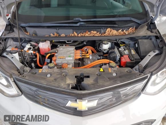 ✅ 2020 Chevrolet Bolt EV LT • VIN: 1G1FY6S02L4123808 • Lot: 41413801. Wystawiony na IAAI z przebiegiem 44 133 mil. Bezpłatny archiwum sprzedaży aukcyjnych z USA i szczegółowy raport historii pojazdu na DreamBid. Zdjęcie 10.