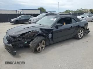 ✅ 2013 Ford Mustang GT • VIN: 1ZVBP8FF4D5259837 • Lot: 58708925. Listed on Copart with 116,209 mi. Free auction sales archive from the USA and detailed vehicle history report at DreamBid. Image 1.