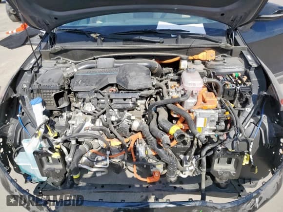 ✅ 2023 Kia Sportage EX • VIN: KNDPVCAG9P7081675 • Lot: 80559755. Wystawiony na Copart z przebiegiem 38 452 mil. Bezpłatny archiwum sprzedaży aukcyjnych z USA i szczegółowy raport historii pojazdu na DreamBid. Zdjęcie 12.