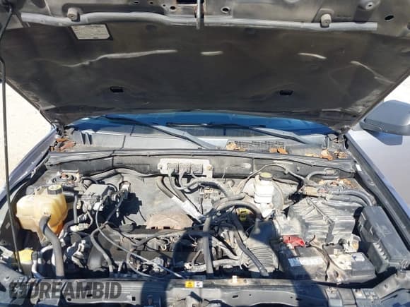 ✅ 2008 Ford Escape XLT • VIN: 1FMCU03ZX8KE48639 • Лот: 43479192. Опубликован ранее на IAAI с пробегом 166 601 миль. Бесплатный доступ к архиву аукционных продаж из США и подробный отчёт об истории автомобиля на DreamBid. Изображение 10.