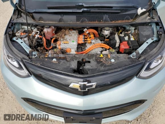 ✅ 2019 Chevrolet Bolt EV Premier • VIN: 1G1FZ6S02K4135646 • Lot: 75072324. Wystawiony na Copart z przebiegiem Nie podano. Bezpłatny archiwum sprzedaży aukcyjnych z USA i szczegółowy raport historii pojazdu na DreamBid. Zdjęcie 12.