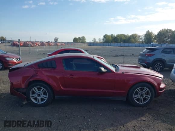 ✅ 2007 Ford Mustang Deluxe • VIN: 1ZVFT80N875333293 • Lot: 43703309. Listed on IAAI with 267,629 mi. Free auction sales archive from the USA and detailed vehicle history report at DreamBid. Image 13.