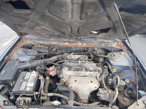 ✅ 2002 Honda Accord VP • VIN: 1HGCF86632A150382 • Lot: 43918156. Listed on IAAI with 305,825 mi. Free auction sales archive from the USA and detailed vehicle history report at DreamBid. Image 10.