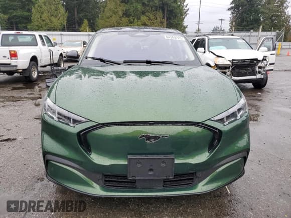 ✅ 2024 Ford Mustang Mach-E Premium • VIN: 3FMTK3SU8RMA19829 • Lot: 84289225. Listed on Copart with 14,966 mi. Free auction sales archive from the USA and detailed vehicle history report at DreamBid. Image 5.