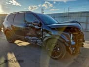 ✅ 2025 Kia Telluride SX X-Line • VIN: 5XYP5DGC0SG623204 • Lot: 93884155. Listed on Copart with Not provided. Free auction sales archive from the USA and detailed vehicle history report at DreamBid. Image 4.