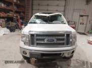 ✅ 2010 Ford F-150 XL • VIN: 1FTFW1EV6AFD40769 • Lot: 41515740. Listed on IAAI with 253,234 mi. Free auction sales archive from the USA and detailed vehicle history report at DreamBid. Image 11.