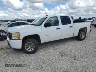 ✅ 2011 Chevrolet Silverado 1500 LS • VIN: 3GCPCREA8BG309886 • Lot: 69383774. Listed on Copart with Not provided. Free auction sales archive from the USA and detailed vehicle history report at DreamBid. Image 1.