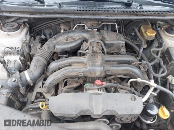 ✅ 2014 Subaru Impreza • VIN: JF1GJAA61EH016341 • Lot: 43518846. Wystawiony na IAAI z przebiegiem 259 778 mil. Bezpłatny archiwum sprzedaży aukcyjnych z USA i szczegółowy raport historii pojazdu na DreamBid. Zdjęcie 10.