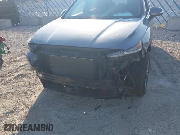 ✅ 2019 Hyundai Santa Fe Limited • VIN: 5NMS53AD2KH062449 • Lot: 43330114. Listed on IAAI with 85,838 mi. Free auction sales archive from the USA and detailed vehicle history report at DreamBid. Image 6.