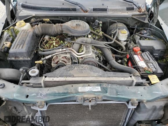 ✅ 1999 Dodge Durango • VIN: 1B4HR28ZXXF546753 • Lot: 60443385. Wystawiony na Copart z przebiegiem 171 878 mil. Bezpłatny archiwum sprzedaży aukcyjnych z USA i szczegółowy raport historii pojazdu na DreamBid. Zdjęcie 12.