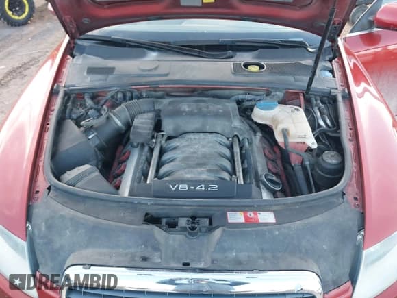 ✅ 2005 Audi A6 • VIN: WAUDL74FX5N032557 • Lot: 43680217. Listed on IAAI with 119,448 mi. Free auction sales archive from the USA and detailed vehicle history report at DreamBid. Image 10.