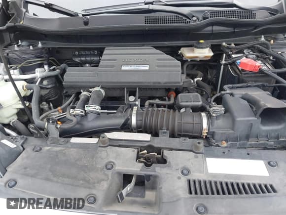 ✅ 2019 Honda CR-V EX-L • VIN: 7FARW2H81KE048109 • Lot: 43581525. Listed on IAAI with 82,736 mi. Free auction sales archive from the USA and detailed vehicle history report at DreamBid. Image 10.