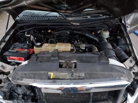 ✅ 2004 Ford F-250 XL • VIN: 3FTNX20L24MA09468 • Lot: 82153354. Wystawiony na Copart z przebiegiem 132 085 mil. Bezpłatny archiwum sprzedaży aukcyjnych z USA i szczegółowy raport historii pojazdu na DreamBid. Zdjęcie 11.