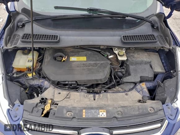 ✅ 2013 Ford Escape SEL • VIN: 1FMCU0HX0DUA77481 • Лот: 94866865. Опубликован ранее на Copart с пробегом 96 113 миль. Бесплатный доступ к архиву аукционных продаж из США и подробный отчёт об истории автомобиля на DreamBid. Изображение 12.