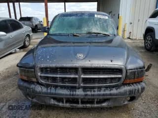 ✅ 2001 Dodge Dakota • VIN: 1B7FL26X21S343416 • Lot: 48143584. Wystawiony na Copart z przebiegiem Nie podano. Bezpłatny archiwum sprzedaży aukcyjnych z USA i szczegółowy raport historii pojazdu na DreamBid. Zdjęcie 5.