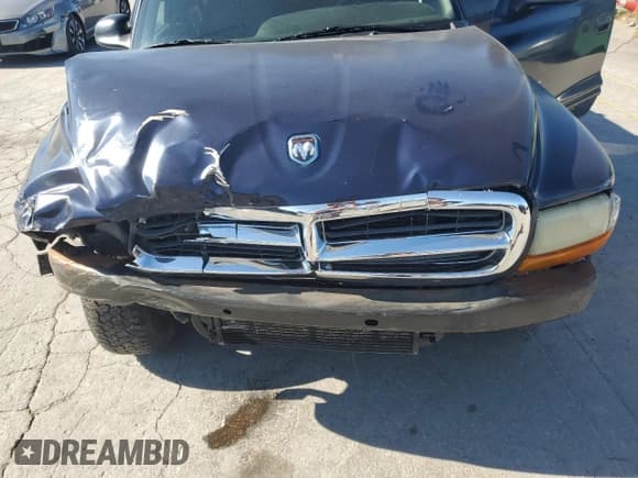 ✅ 2000 Dodge Durango • VIN: 1B4HS28N8YF262556 • Lot: 70458725. Wystawiony na Copart z przebiegiem 192 052 mil. Bezpłatny archiwum sprzedaży aukcyjnych z USA i szczegółowy raport historii pojazdu na DreamBid. Zdjęcie 11.