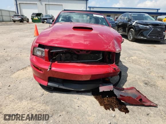 ✅ 2009 Ford Mustang GT • VIN: 1ZVHT85H195117784 • Lot: 64933225. Wystawiony na Copart z przebiegiem 46 449 mil. Bezpłatny archiwum sprzedaży aukcyjnych z USA i szczegółowy raport historii pojazdu na DreamBid. Zdjęcie 5.