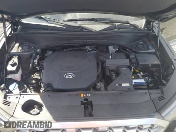 ✅ 2022 Hyundai Palisade SEL • VIN: KM8R34HE7NU353773 • Лот: 76506514. Размещён на Copart с пробегом Не указан миль. Получите бесплатный доступ к архиву аукционных продаж из США и посмотрите подробный отчёт об истории автомобиля на DreamBid. Изображение 12.