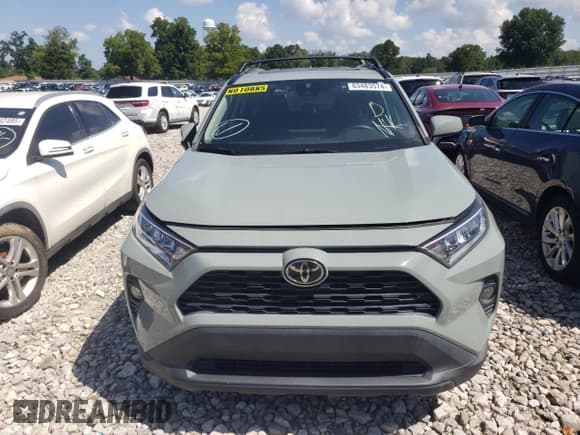 ✅ 2019 Toyota RAV4 XLE • VIN: 2T3W1RFV4KC026695 • Lot: 83483574. Listed on Copart with 38,058 mi. Free auction sales archive from the USA and detailed vehicle history report at DreamBid. Image 5.