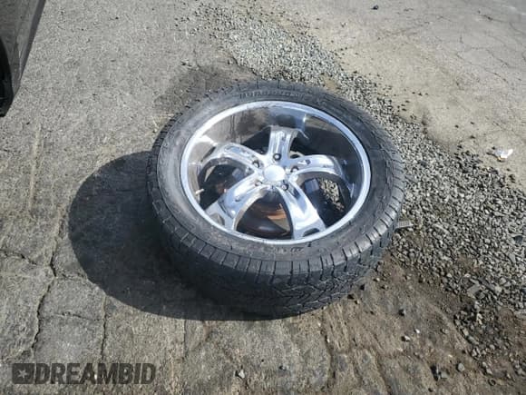 ✅ 2009 Dodge 1500 SLT • VIN: 1D3HB13T39S706171 • Lot: 78301694. Wystawiony na Copart z przebiegiem 147 642 mil. Bezpłatny archiwum sprzedaży aukcyjnych z USA i szczegółowy raport historii pojazdu na DreamBid. Zdjęcie 14.