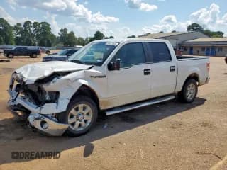 ✅ 2013 Ford F-150 XLT • VIN: 1FTEW1CM8DFE03297 • Лот: 69077905. Опубликован ранее на Copart с пробегом 209 005 миль. Бесплатный доступ к архиву аукционных продаж из США и подробный отчёт об истории автомобиля на DreamBid. Изображение 1.