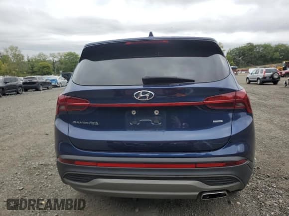 ✅ 2021 Hyundai Santa Fe SE • VIN: 5NMS1DAJ0MH344826 • Lot: 81576985. Listed on Copart with 51,698 mi. Free auction sales archive from the USA and detailed vehicle history report at DreamBid. Image 6.