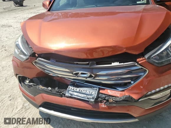 ✅ 2017 Hyundai Santa Fe 2.4L • VIN: 5XYZUDLB3HG468326 • Лот: 66700253. Опубликован ранее на Copart с пробегом 78 542 миль. Бесплатный доступ к архиву аукционных продаж из США и подробный отчёт об истории автомобиля на DreamBid. Изображение 13.