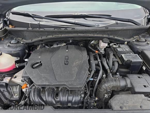 ✅ 2024 Hyundai Tucson SEL • VIN: 5NMJB3DE4RH308145 • Лот: 42906431. Размещён на IAAI с пробегом 43 318 миль миль. Получите бесплатный доступ к архиву аукционных продаж из США и посмотрите подробный отчёт об истории автомобиля на DreamBid. Изображение 1.