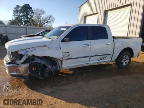 2009 Dodge 1500 SLT с VIN 1D3HV13P29S753539, выставлен на аукционе Copart как лот 87318074 с пробегом 132 286 миль миль и Списание • Salvage title. История ставок и продаж доступна на DreamBid. Изображение 1.