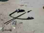 2024 Chevrolet Malibu LT with VIN 1G1ZD5ST7RF169791, listed as a Copart auction lot 72019415 with 40,774 mi miles and Salvage title. Bid and sale history available at DreamBid. Image 12.