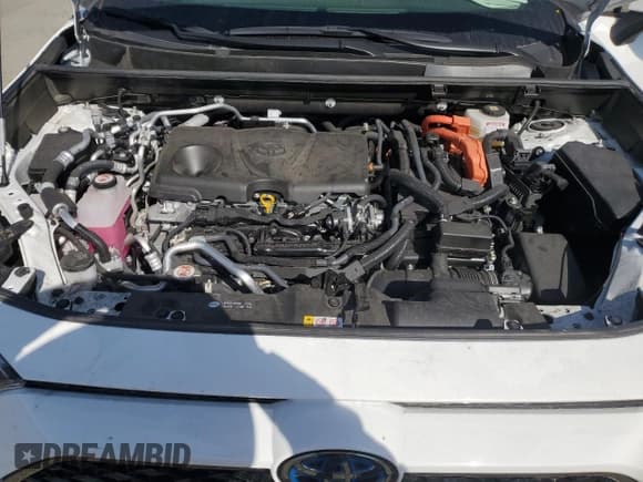 ✅ 2024 Toyota RAV4 SE • VIN: JTMAB3FV0RD173932 • Лот: 89911015. Опубликован ранее на Copart с пробегом 20 651 миль. Бесплатный доступ к архиву аукционных продаж из США и подробный отчёт об истории автомобиля на DreamBid. Изображение 12.