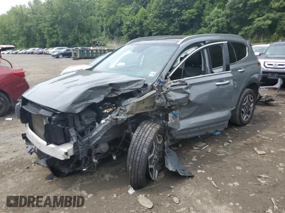 ✅ 2021 Hyundai Santa Fe Limited • VIN: 5NMS4DAL3MH343663 • Lot: 63883944. Wystawiony na Copart z przebiegiem Nie podano. Bezpłatny archiwum sprzedaży aukcyjnych z USA i szczegółowy raport historii pojazdu na DreamBid. Zdjęcie 1.