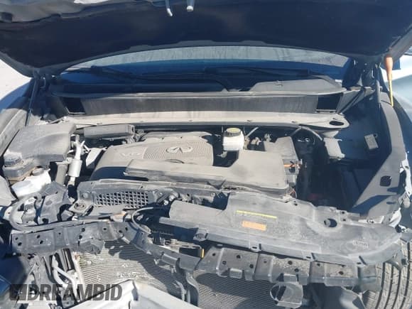 ✅ 2019 Infiniti QX60 Luxe • VIN: 5N1DL0MM6KC558387 • Lot: 43529163. Wystawiony na IAAI z przebiegiem 81 663 mil. Bezpłatny archiwum sprzedaży aukcyjnych z USA i szczegółowy raport historii pojazdu na DreamBid. Zdjęcie 10.