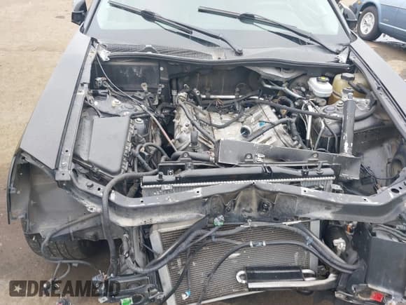 ✅ 2005 Cadillac CTS-V • VIN: 1G6DN56S150233470 • Лот: 41732531. Опубликован ранее на IAAI с пробегом Не указан. Бесплатный доступ к архиву аукционных продаж из США и подробный отчёт об истории автомобиля на DreamBid. Изображение 10.