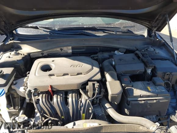 ✅ 2019 Kia Optima LX • VIN: 5XXGT4L38KG352019 • Lot: 43643166. Wystawiony na IAAI z przebiegiem 49 740 mil. Bezpłatny archiwum sprzedaży aukcyjnych z USA i szczegółowy raport historii pojazdu na DreamBid. Zdjęcie 10.