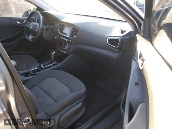 ✅ 2019 Hyundai Ioniq Blue • VIN: KMHC65LC5KU168724 • Lot: 41308318. Wystawiony na IAAI z przebiegiem 202 597 mil. Bezpłatny archiwum sprzedaży aukcyjnych z USA i szczegółowy raport historii pojazdu na DreamBid. Zdjęcie 5.