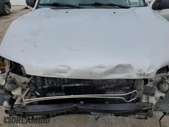 ✅ 2004 Ford Escape XLT • VIN: 1FMYU03134KA19384 • Lot: 46597125. Listed on Copart with 173,947 mi. Free auction sales archive from the USA and detailed vehicle history report at DreamBid. Image 12.